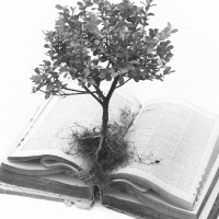 [Rob Miller] Gods Word Brings Life (1 Peter 1:17-25) 26.6.16