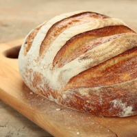 [Peter Carolane] Vision 2: Dispersed like yeast in dough (Mat 13:31-33) 10.02.19