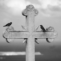 [Peter Carolane] What is the Gospel? (Romans 1:1-18) 20.8.17