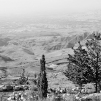 [Peter Carolane] We all need encouragement (Hebrews 3:7-19) 24.4.16