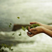 [Peter Carolane] The way of the Spirit (Romans 7:1-6) 4.11.18