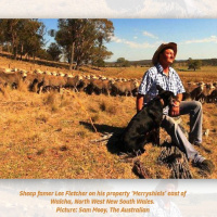 [Peter Carolane] Imitating the Good Shepherd (1 Peter 5:1-11) 14.04.19