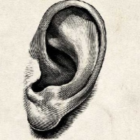 [Beck Miller] Kingdom Parables: The Sower (Matthew 13:1-23) 03.01.21