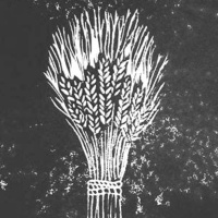 [Peter Carolane] Faith Friends and Fulfilment (Ruth 1) 2.10.16