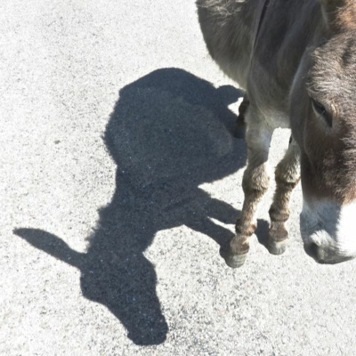 Merri Creek Anglican