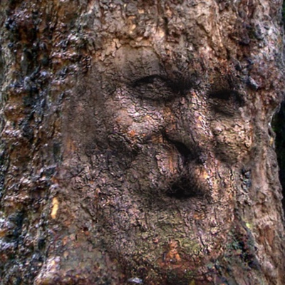 Merri Creek Anglican