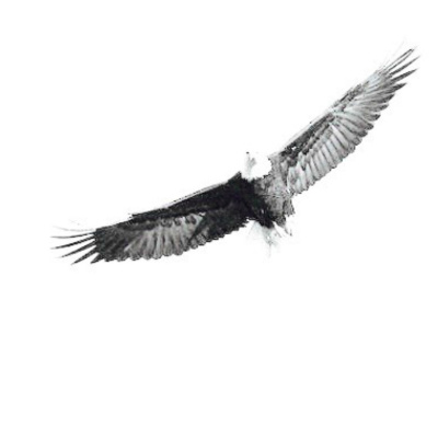 Merri Creek Anglican