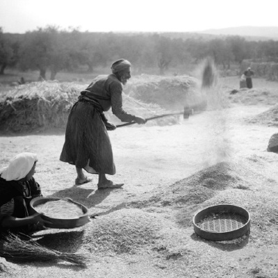 Merri Creek Anglican