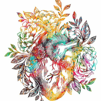 Merri Creek Anglican