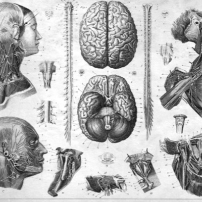 Merri Creek Anglican