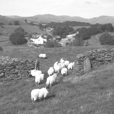 Merri Creek Anglican