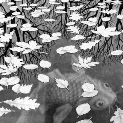 Merri Creek Anglican