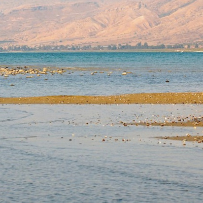Merri Creek Anglican