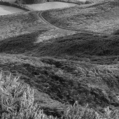 Merri Creek Anglican