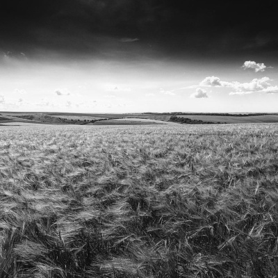Merri Creek Anglican
