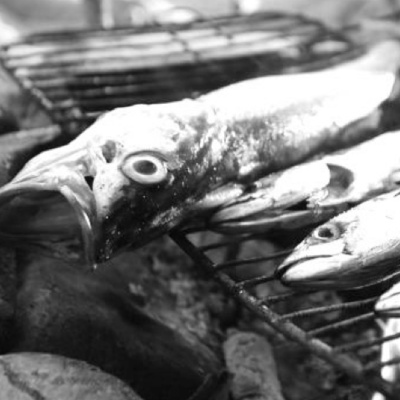 Merri Creek Anglican