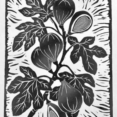 Merri Creek Anglican