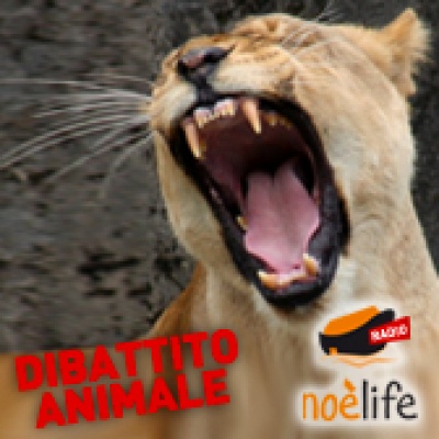 Dibattito Animale