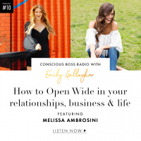 Conscious Boss Radio Ft Melissa Ambrosini