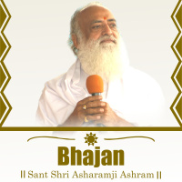 Tera Hira Janam Bita Jaye Re : Shri Sureshanandji