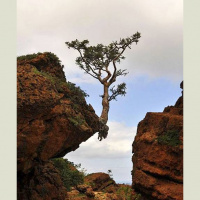 Radio Rahti 1504 Creative Tenacity