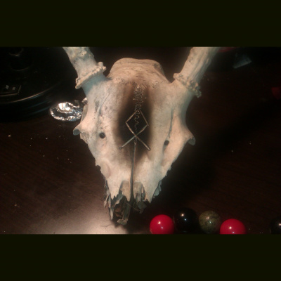 Clay Horn  Thorn Show