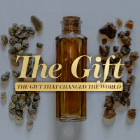 Jesus, Our High Priest // The Gift // Pastor Paige Bostwick