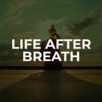 A Tale of Two Cities