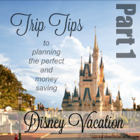 Part 1-Trip Tips for the Perfect Disney Vacation