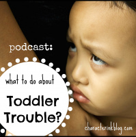 What to do About Toddler Trouble?