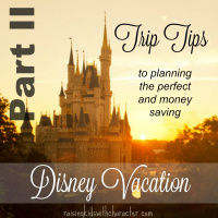 Part 2-Trip Tips for the Perfect Disney Vacation
