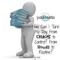 How Can I Turn My Day From Chaos to Control? From Rowdy to Routine?