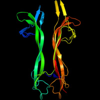 SSC #19: Exploring Protein Design: the Next Frontier of Biomedicine by Foster Birnbaum and Jack Ryan