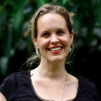 The role of forests in addressing climate change