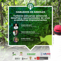 Turberas peruanas: potencial, desafíos y oportunidades de unos ecosistemas impresionantes