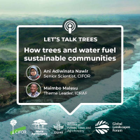 How trees and water fuel sustainable communities