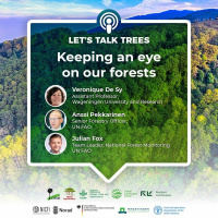 Keeping an eye on our forests