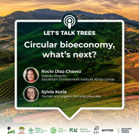 Circular bioeconomy, what next?
