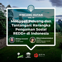 Menggali Peluang dan Tantangan: Kerangka Pengaman Sosial REDD+ di Indonesia