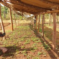 Radio talk show on the Water Towers project implementation in Mt. Elgon Uganda
