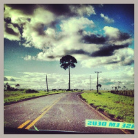 Audio: Scientist Amy Duchelle discusses the evolution of REDD+