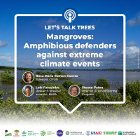 Mangroves: Amphibious Defenders Against Extreme Climate Events