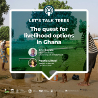 The quest for livelihood options in Ghana