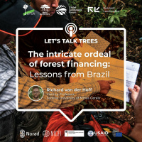 The Intricate ordeal of forest financing: Lessons from Brazil