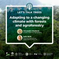 Adapting to a changing climate with forests and agroforestry