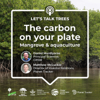 The carbon on your plate: mangrove and aquaculture
