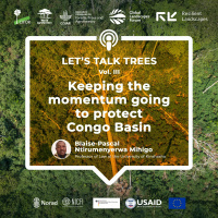 Keeping the momentum going to protect Congo Basin