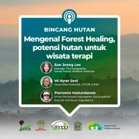 Mengenal Forest Healing, potensi hutan untuk wisata terapi