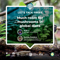 Much room for mushrooms in global diets