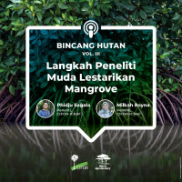 Langkah Peneliti Muda Lestarikan Mangrove